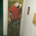 Hotel Pantanal